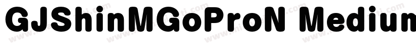GJShinMGoProN Medium字体转换
